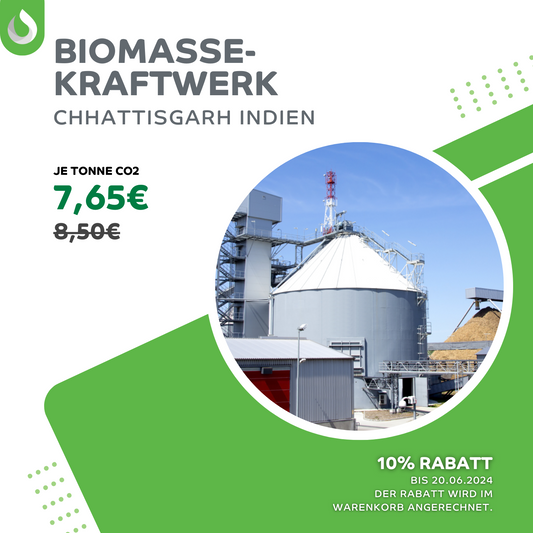 Biomassekraftwerk in Indien